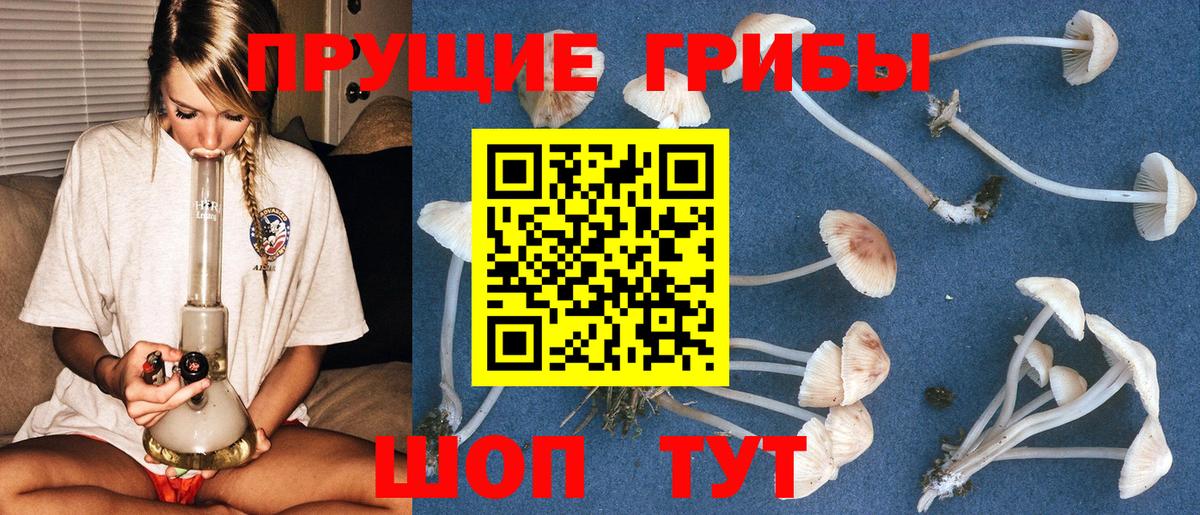 Псилоцибиновые грибы Magic Shrooms Сухой Лог