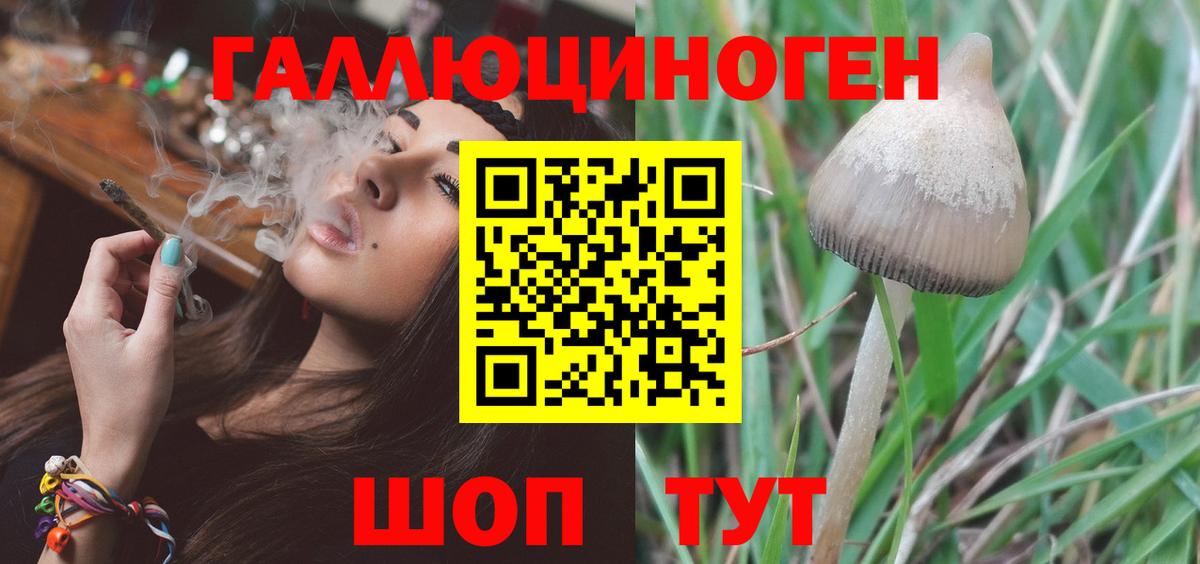 Сухой Лог  Галлюциногенные грибы мицелий  Вход с VPN 
